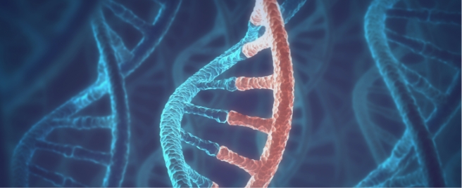 DNA strands representing rare disease